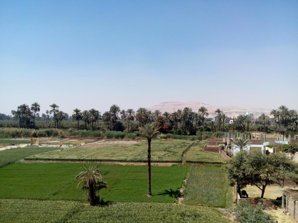 Luxor Palace Apartments Kültér fotó
